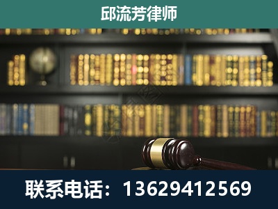 廉江-经济类案件